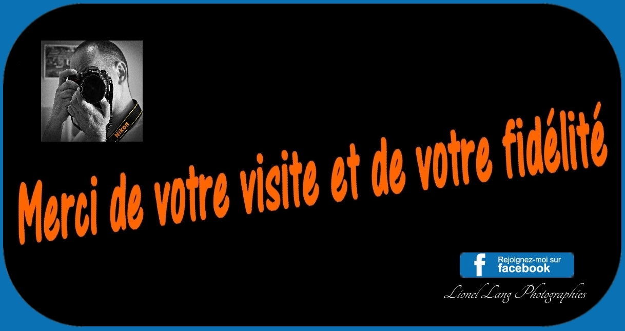 Rejoignez moi sur ma page photos Facebook